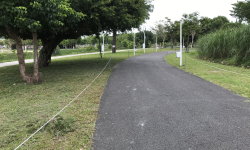 Barrier-free Path